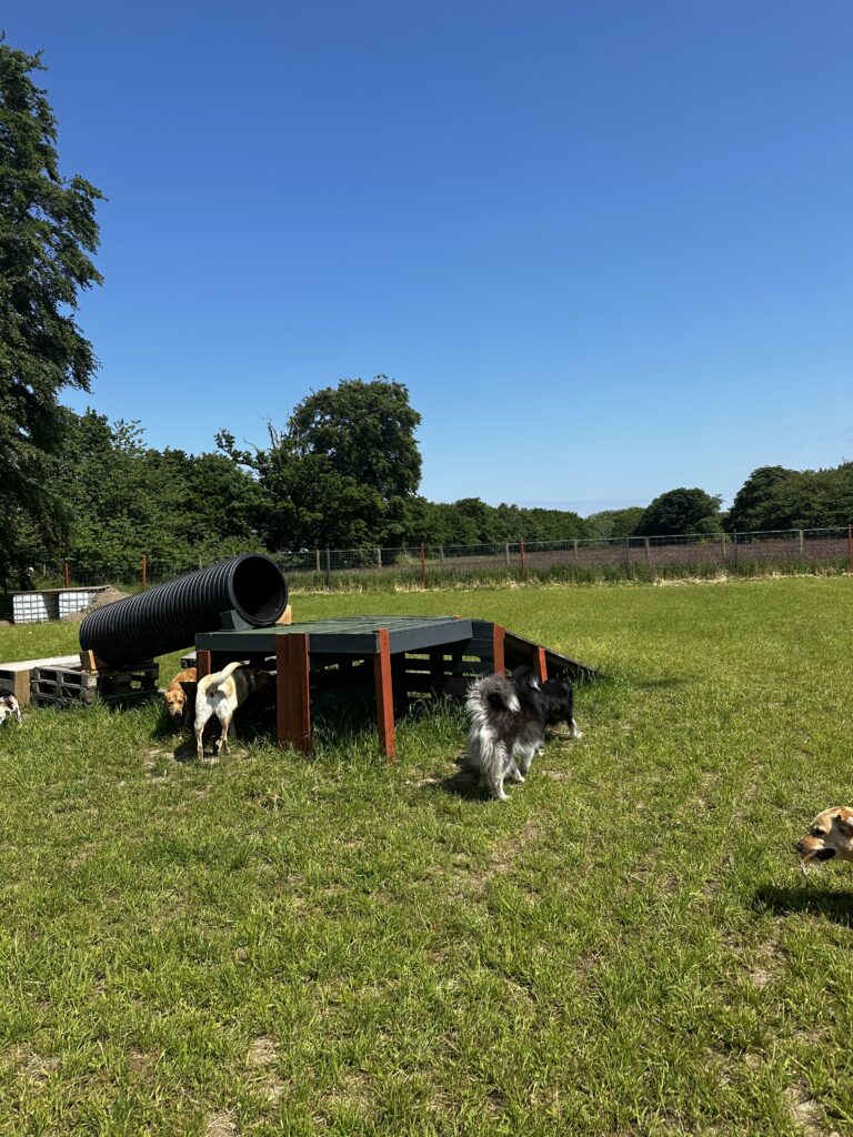 2228 411c025670c176b14b522bc8eb9203d9 1 768x1024