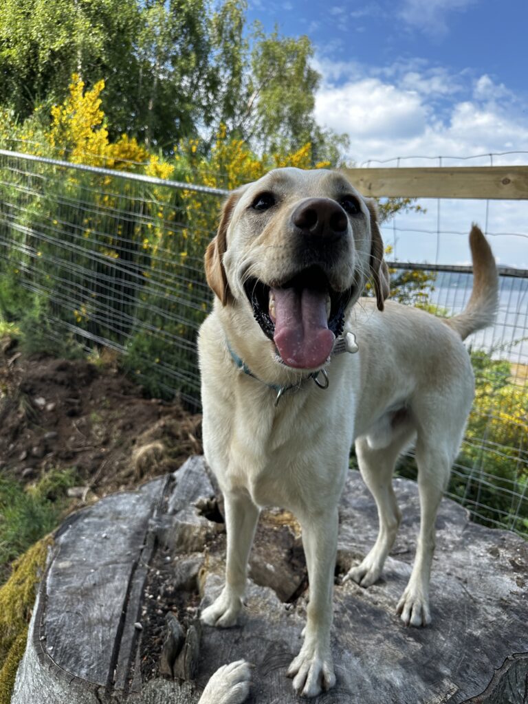 2228 4be80758a608a56ed5ac5e02c00527f3 1 768x1024