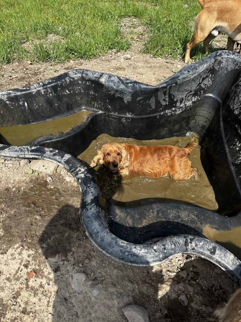 2228 4e4c9dd8c8c873c7e79ab9e0027693a3 1 768x1024