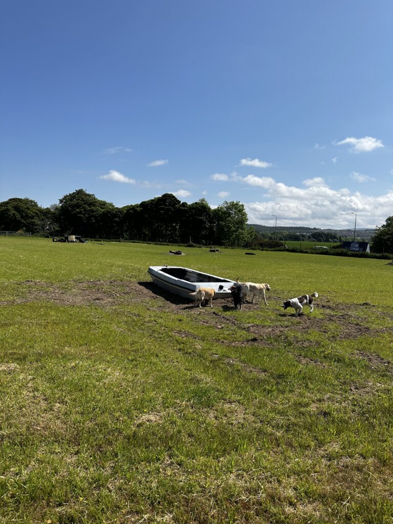 2228 60e49a7b531ecdc30299cc8ce373fe3f 1 768x1024