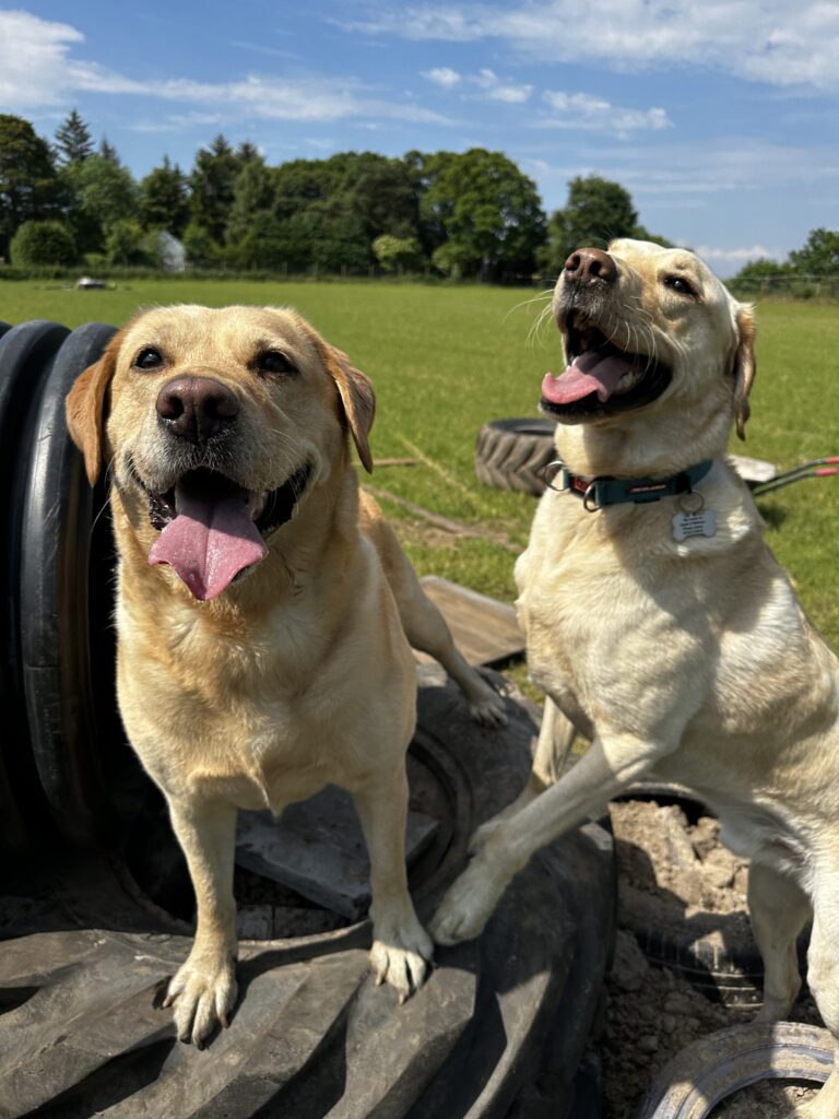 2228 7b1a4fafed21a8553e016436c227202d 1 768x1024