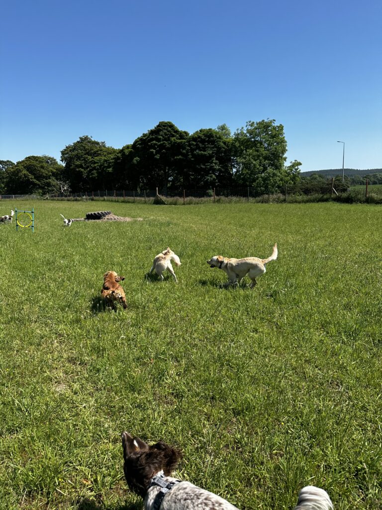 2228 a025f5df06e62c825979245727d60cdd 1 768x1024