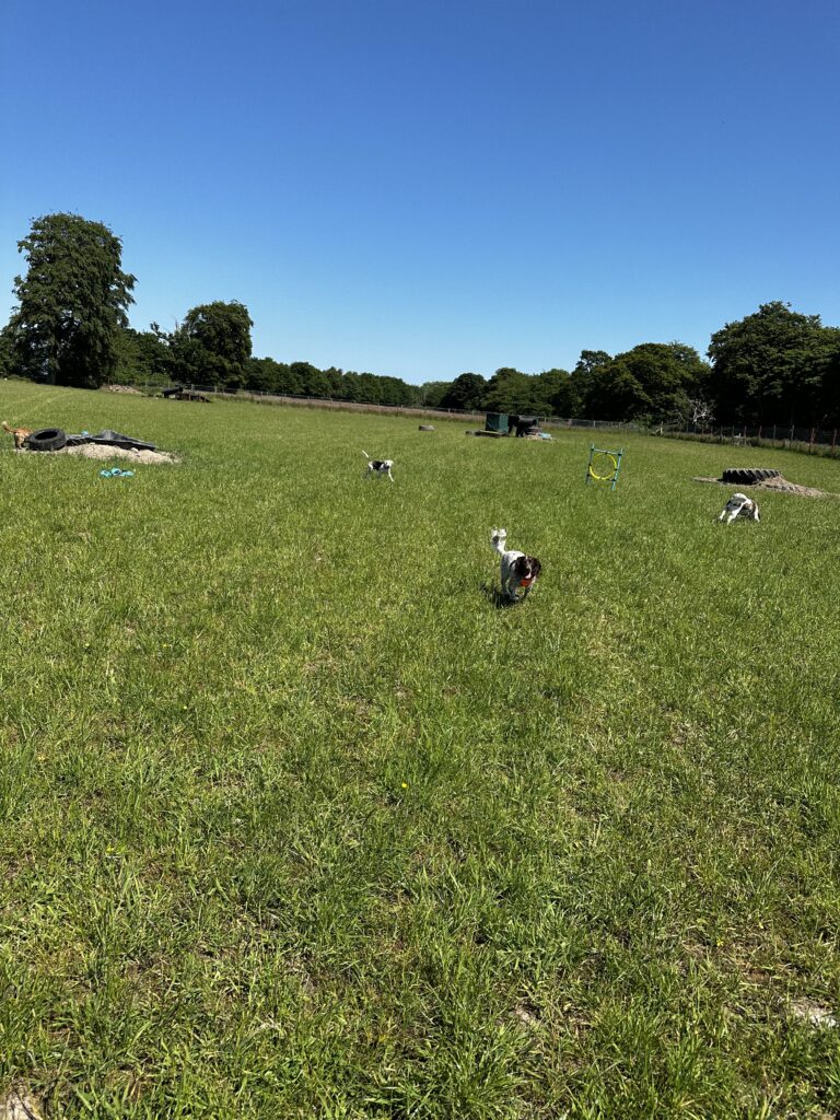 2228 a67e28d9a17f6fb23e75887d41f1cad3 1 768x1024