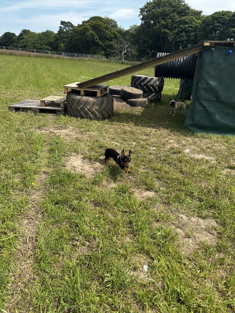 2228 b530874310c914a9b5de568a2aa02870 1 768x1024