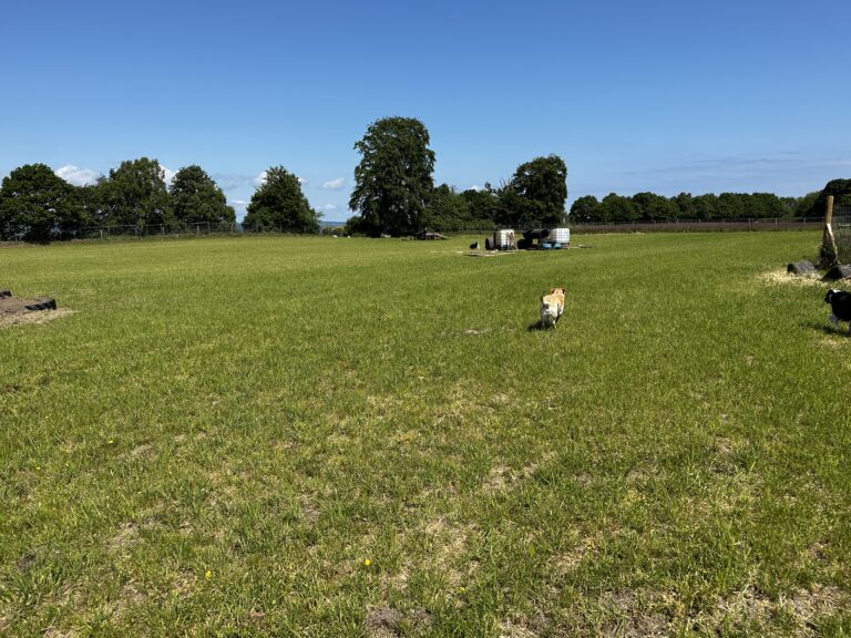 2228 cd38fc2241763fc2011f147eab6b0d92 1 768x576