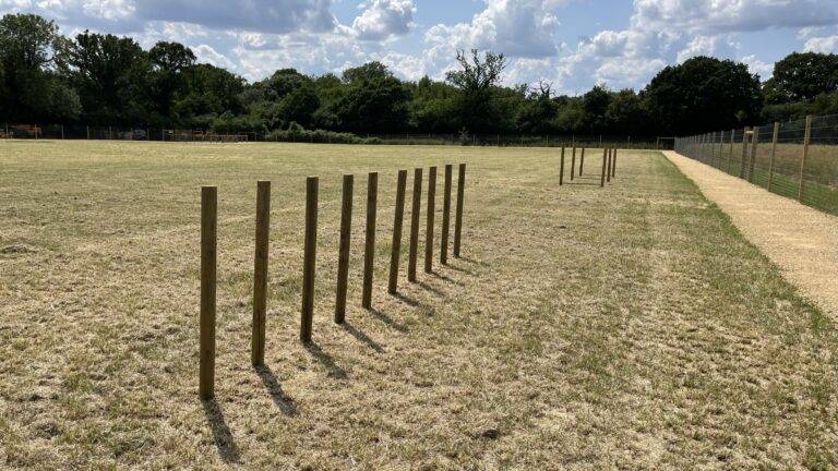 2230 63761d8f9ffcb19156f62a411d7c8c37 1 768x432