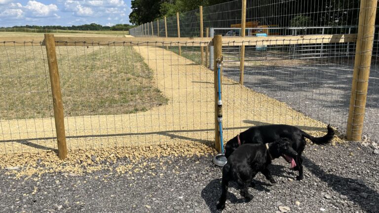 2230 aa02c2d6350525d574e758e5c95ff7e1 1 768x432