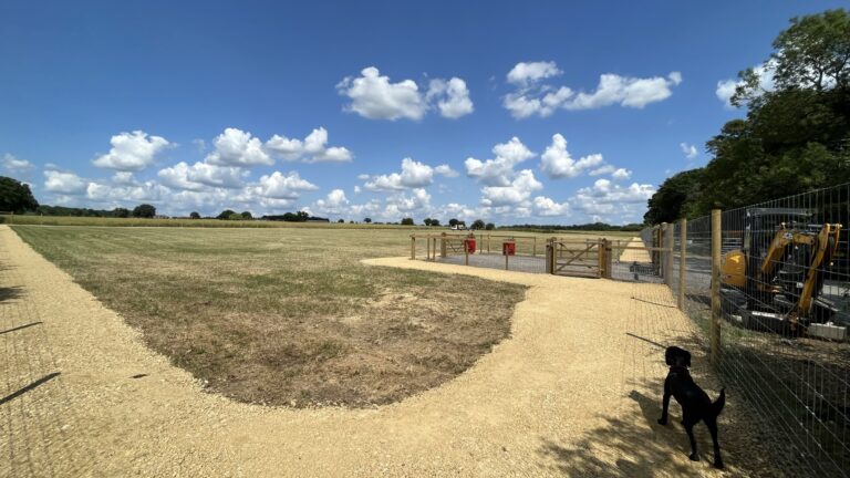 2230 b002e499607d6e73be52730917fddd19 1 768x432