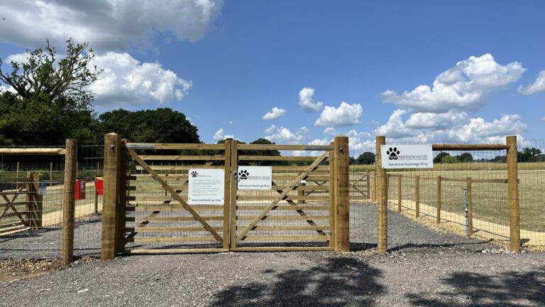 2230 ba33b7b09fd781ee680cfe2536b66193 1 768x432