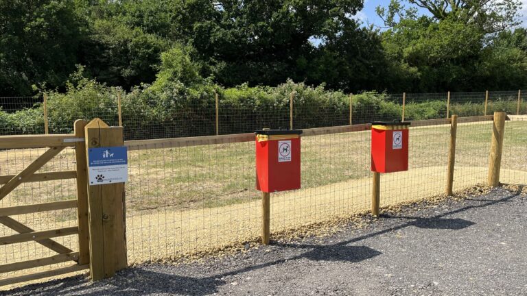 2230 cd177d85abd942f43bd279c04b4b4a4d 1 768x432