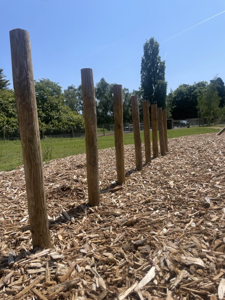 2231 751cd32cf2015a8f5a219e64e7dca88c 1 768x1024