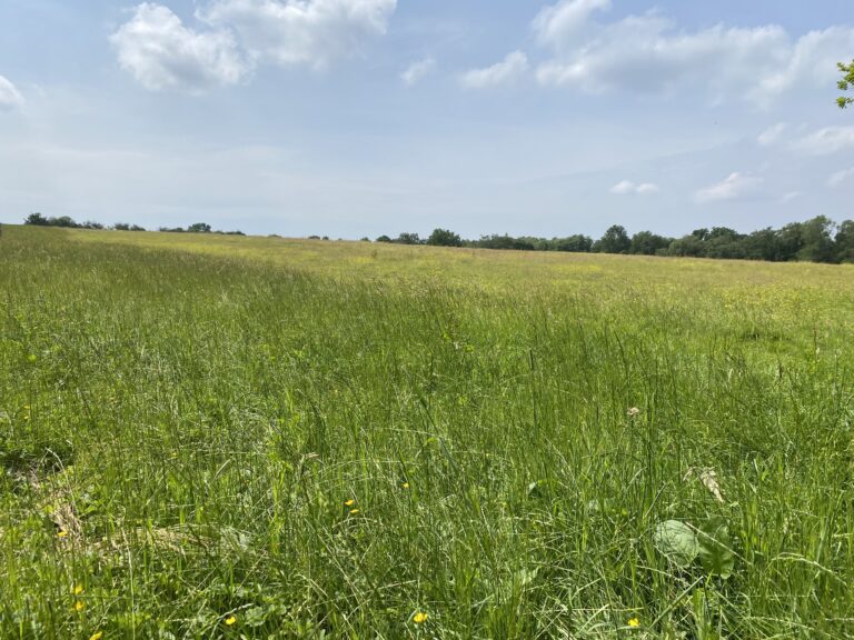 2233 1eb4f7195de38f062e6c584ad6d7d152 1 768x576