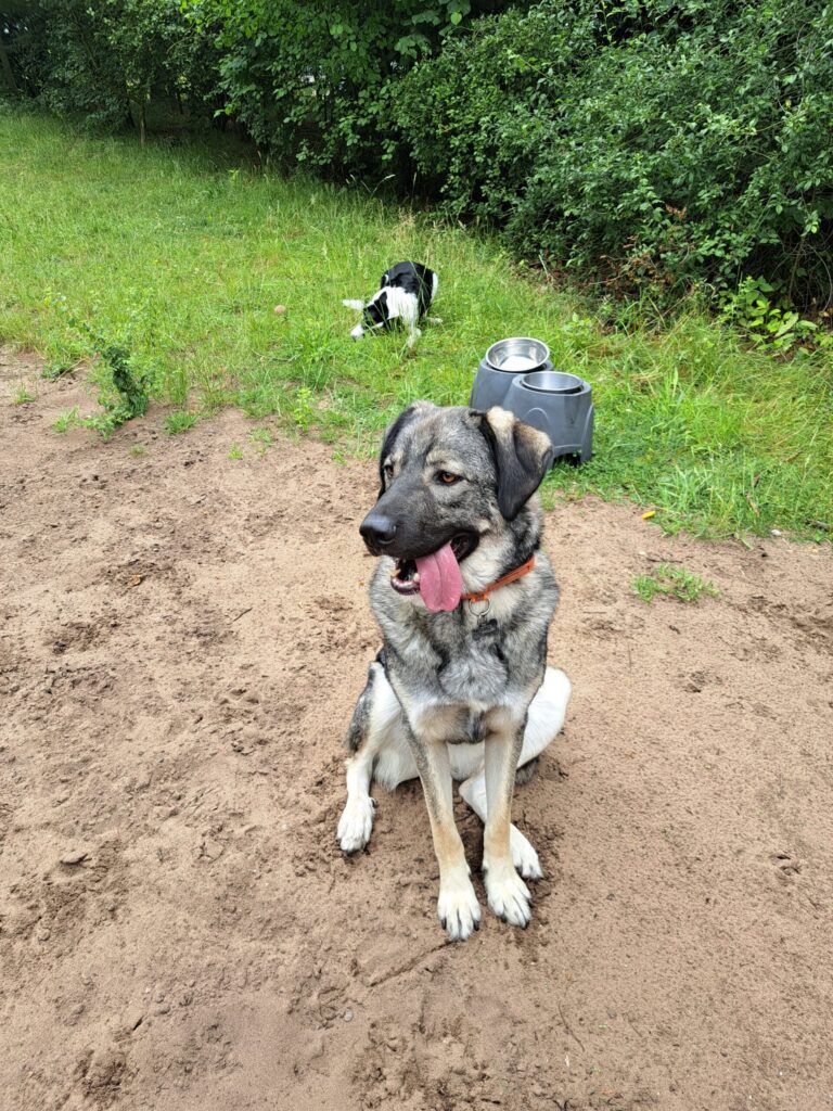 2234 b9b61389f4219c7a5fca2f2645496054 1 scaled 768x1024