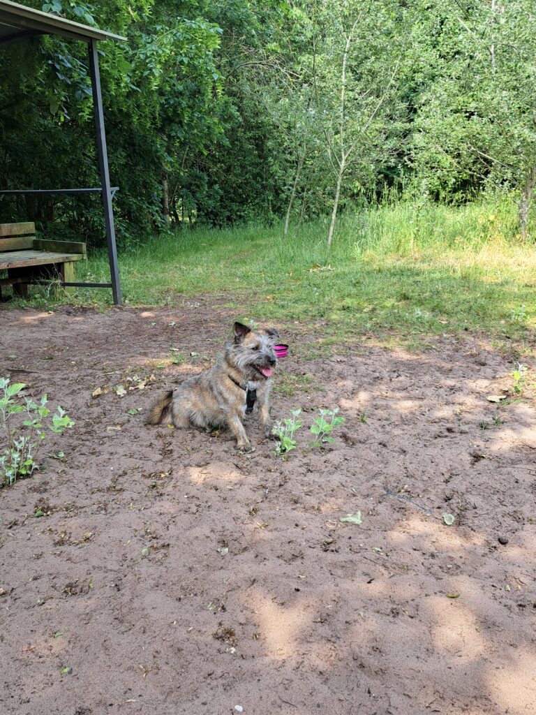 2234 bc8f4f694b2c742573a609b954d74157 1 768x1024