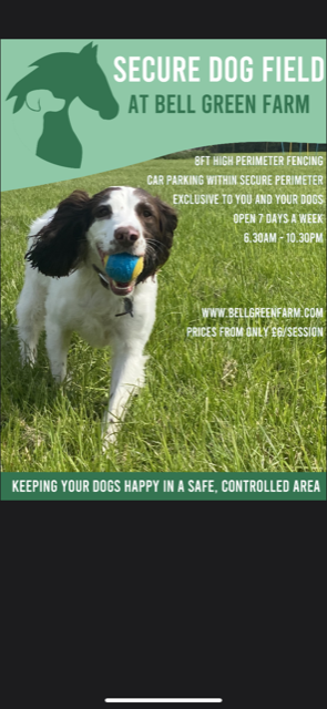 2235 469a87cf7df0399692292462e24b652c 1