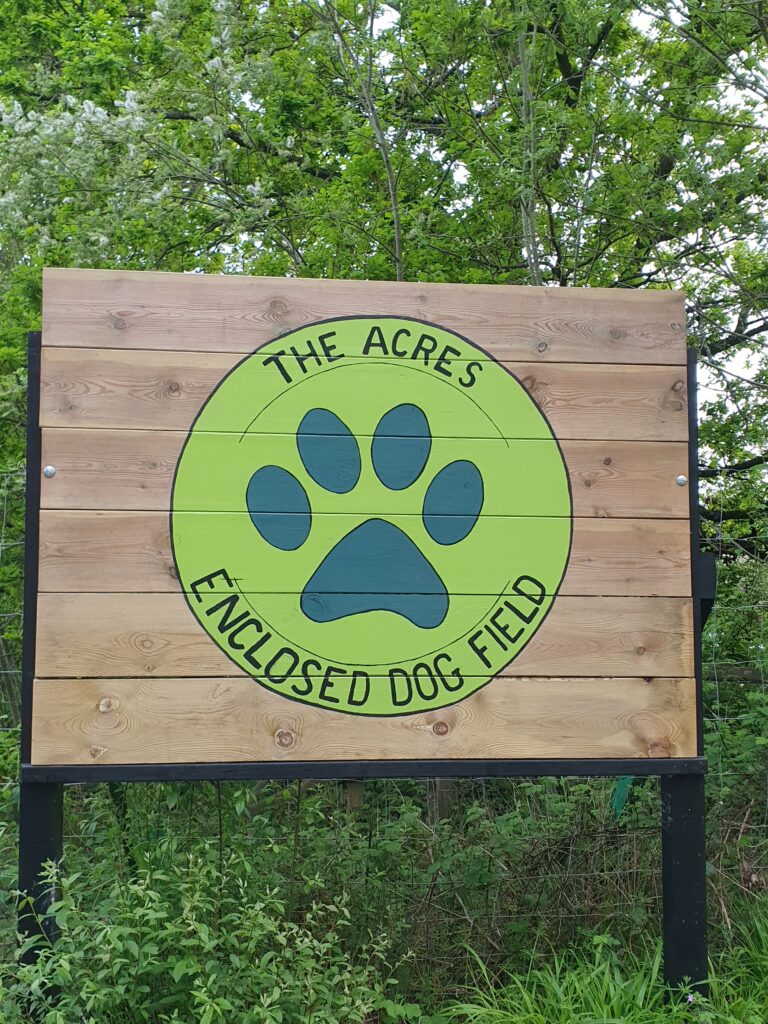 2236 1bc69ead0a2d7b0c497998c62b7f1256 1 768x1024