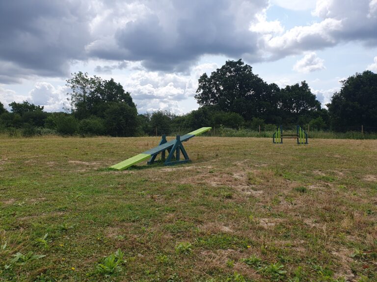 2236 baa67070847c234feffe94d6377e176b 1 768x576