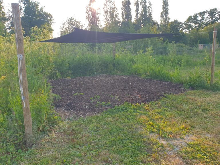 2236 cd46158381d245474c0b6609992990d0 1 768x576