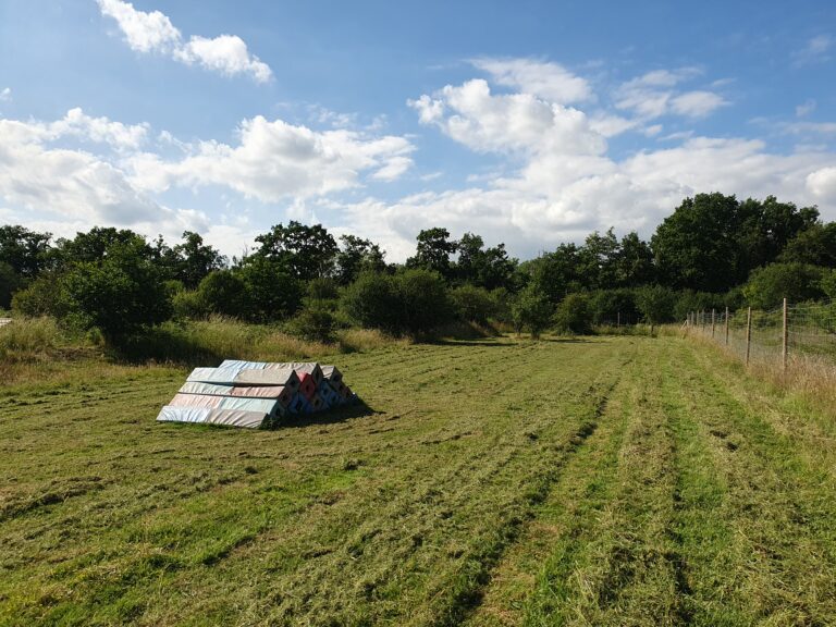 2236 d2ca4c55e7f1fcad7e955018f81b5ff9 1 768x576