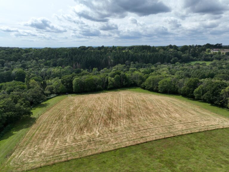 2237 17d8d3cf92249661975fc45faefa285c 1 scaled 768x575