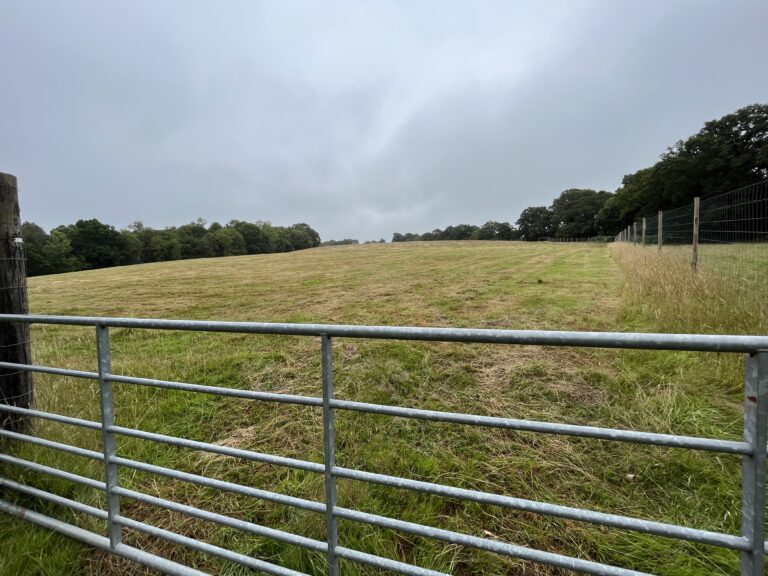 2237 742dfdea98613a88d6855e8eee3f7f22 1 768x576