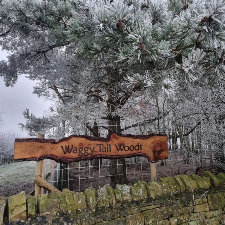 2238 7005a5dcee8b83d173698cccfa15ab2e 1 768x768