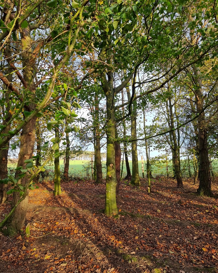 2238 7131cd169fb5db2862b01881826625f0 1