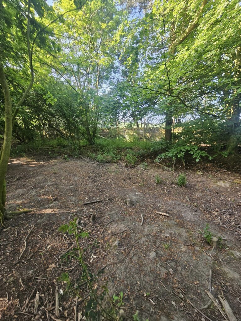 2238 ad276adec9863690913618504f3f2643 1 768x1024