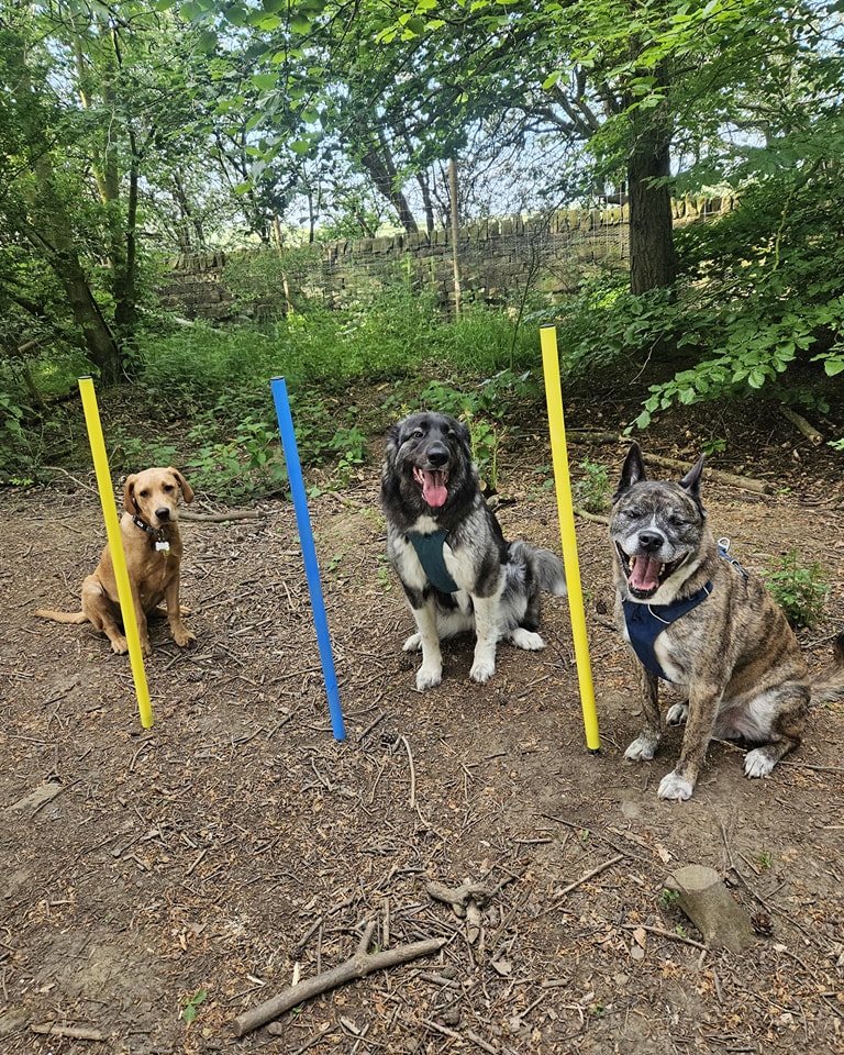 2238 f6e976bd5125280a76eeb6134b236da2 1