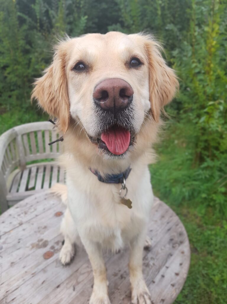 2240 271a51cbb0711a6ee52e4179790003a7 1 768x1029