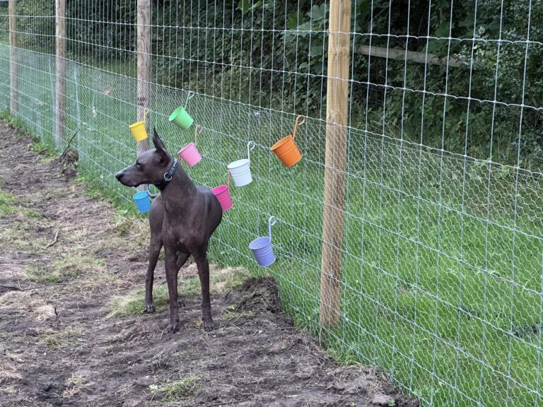 2240 45b3e9de873860db140461176e39f1b5 1 768x576