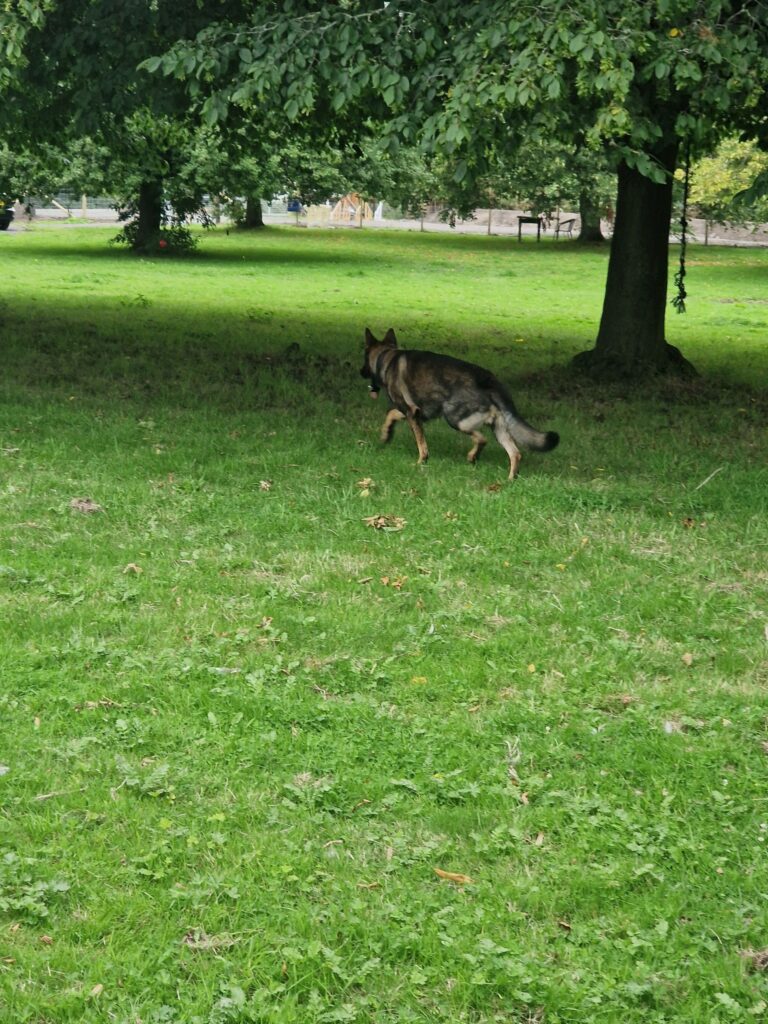 2240 5b52876934208fc2b7ac77890406cfa0 1 768x1024