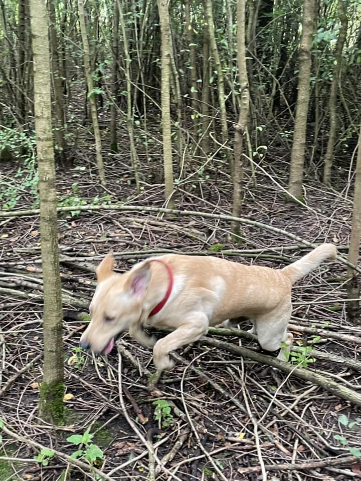 2240 5cfccc6da9889e3cdab6ad49236af624 1