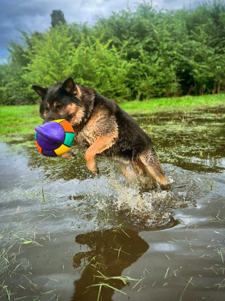 2240 6d020a314d1bca47083569e19a00c070 1