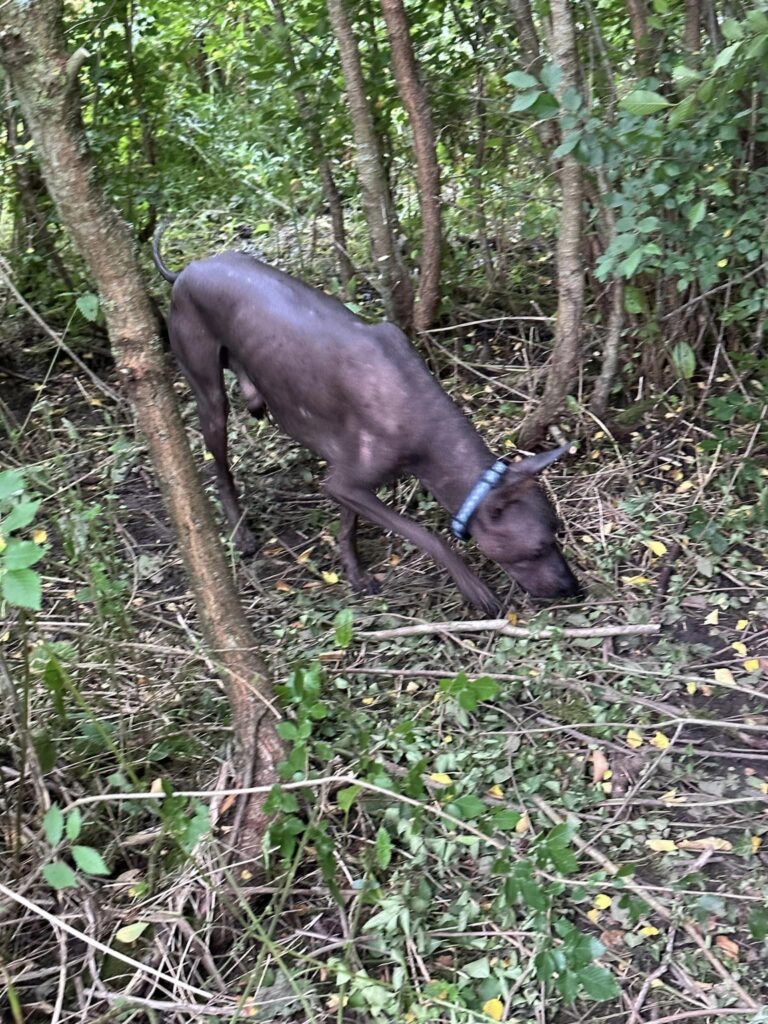 2240 83b0bbc1b296300d444d23bba91a72da 1 768x1024