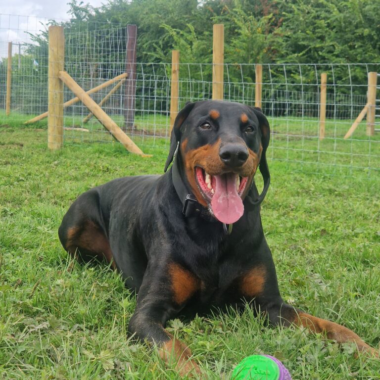 2240 8bb1c823fb979da10bce6458bb0396ea 1 768x768