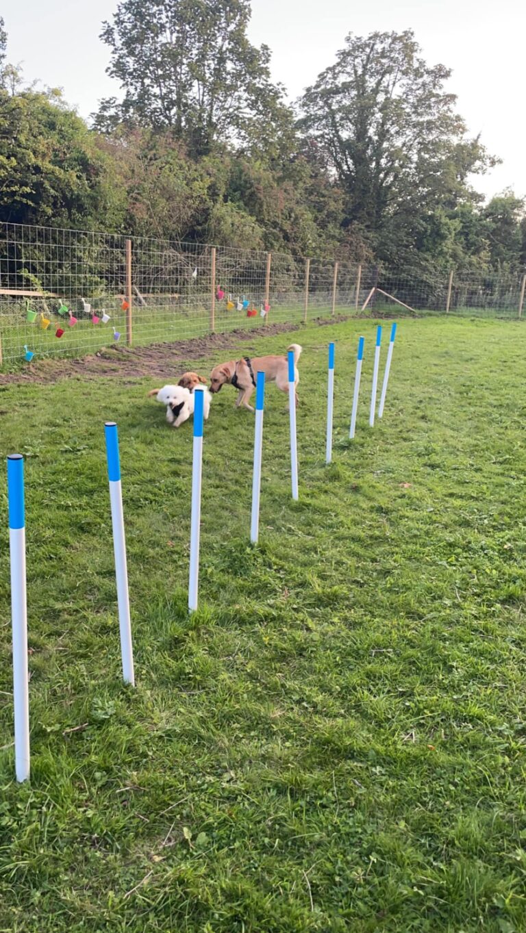 2240 a099e222695e1af950f0d03b5b805c0b 1 768x1363