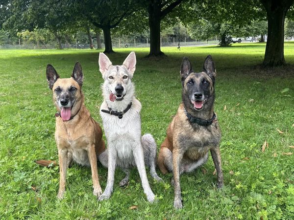 2240 d515eee8a33f94ffb82ceed16a530ca2 1