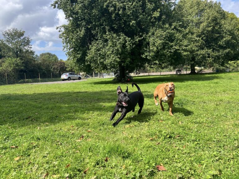 2240 e78e1a0e2f349031418e874ef4ee48f9 1 768x576