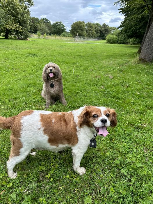 2240 f5d272e5cdafb8d479fa6a27f47ed991 1