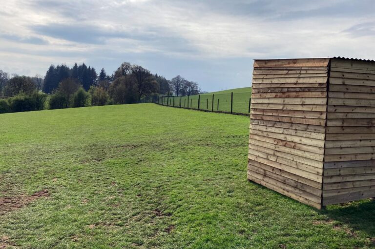 2241 951c0af6a6db8b497ec009a180ffcb73 1 768x511