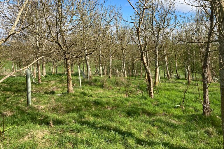 2242 bc76136564b9088591d37ae8af87fd34 1 768x511