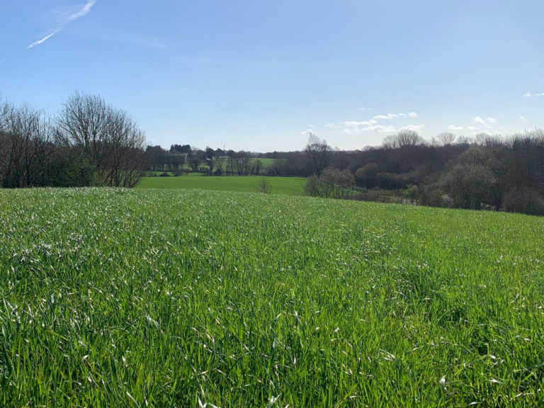 2243 316c6b0eb1ffd8e950bf326bef7f2312 1 768x576