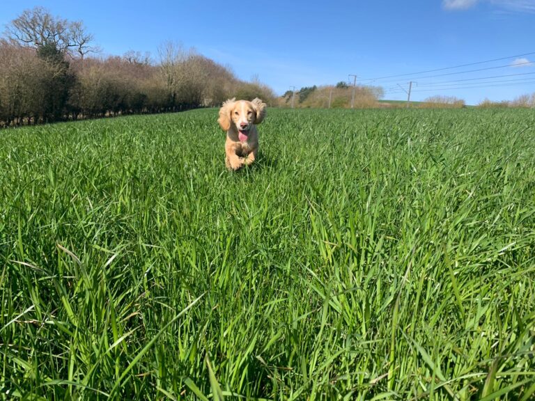 2243 a00b01c48849e84abbc390d2a749be0b 1 768x576