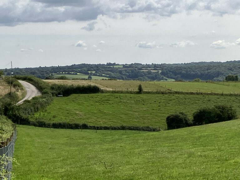 2244 107bc07edd5bb534b63f62fafda5f077 1 768x576