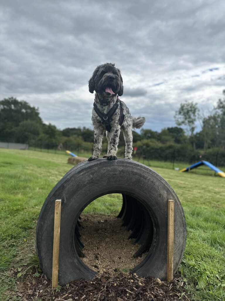 2245 1a75aa6dbe840d13a8d4112853bdda19 1 768x1024