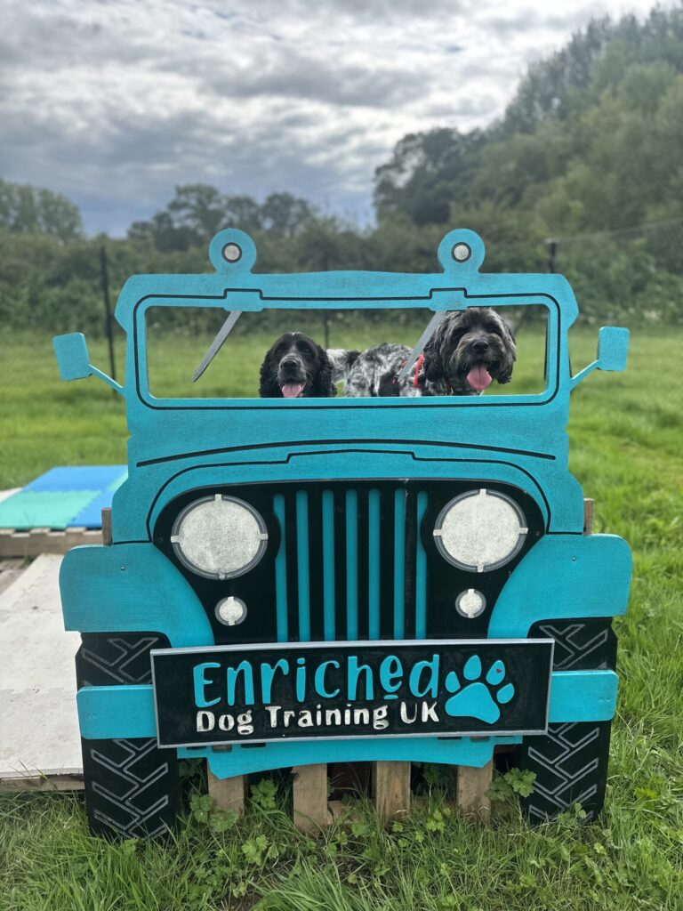 2245 f053a0ab509552ccaffc74fcf7a54dcd 1 scaled 768x1024