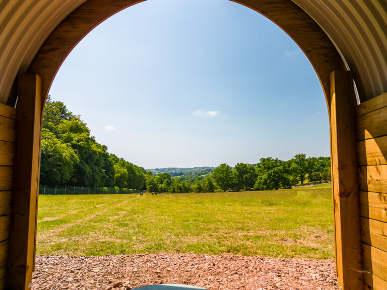 2246 029a1434a0baa8004a8bd0a4e411d0e4 1 768x576