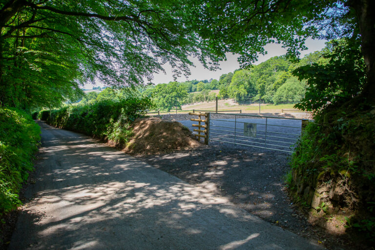 2246 26171bb4151b5b2544a11749c84e6222 1 768x512