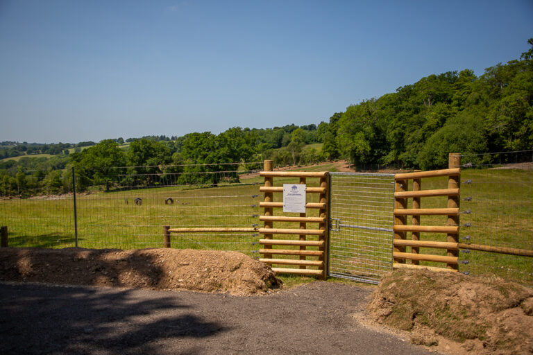 2246 30cbca50fdc32bc2e81805ef698b209a 1 768x512